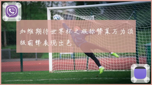 加维期待世界杯之旅称赞莱万为顶级前锋表现出色